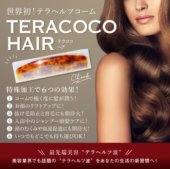 A5-10.11：TERA COCO HAIR – 有限会社三蔵